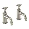 Arcade Cloakroom Basin Pillar Taps - Nickel - Various Tap Head Options Large Image