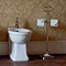 Arcade Freestanding Double Toilet Roll Holder - Nickel Profile Large Image