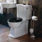 Arcade Freestanding Toilet Roll & Brush Holder - Nickel Profile Large Image