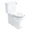 Arcade Full Back to Wall Close Coupled Traditional Toilet - Lever Flush Large Image