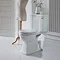 Arcade Open Back Close Coupled Traditional Toilet - Lever Flush Feature Large Image