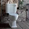 Arcade Open Back Close Coupled Traditional Toilet - Lever Flush Profile Large Image
