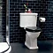 Arcade Open Back Close Coupled Traditional Toilet - Lever Flush  Standard Large Image