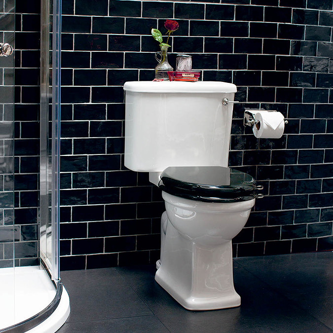 Arcade Soft Close Toilet Seat - Gloss Black Profile Large Image