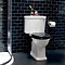 Arcade Soft Close Toilet Seat - Gloss Black Profile Large Image