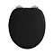 Arcade Soft Close Toilet Seat - Gloss Black Large Image