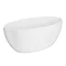 Arezzo 1600 x 855 Matt White Solid Stone Curved Single Ended Bath  Standard Large Image