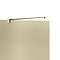 Arezzo 1950mm Brushed Brass Mesh Glass Wetroom Screen with Square Support Arm