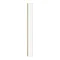 Arezzo W215 x H1950 Brushed Brass Profile 8mm Return Screen Large Image