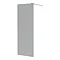 Arezzo W700 x H1900 Grey Tinted Glass 8mm Wetroom Screen Inc. Support Arm Large Image