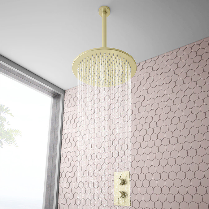 Arezzo 300mm Brushed Brass Round Ceiling Shower Arm  Profile Large Image