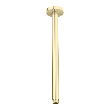 Arezzo 300mm Brushed Brass Round Ceiling Shower Arm  Profile Large Image