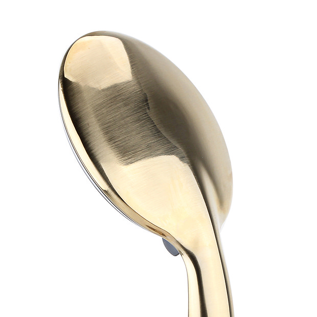 Arezzo 5-Function Large Shower Handset Brushed Brass
