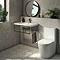 Arezzo 500 Wall Hung Basin with Chrome Towel Rail Frame Feature Large Image
