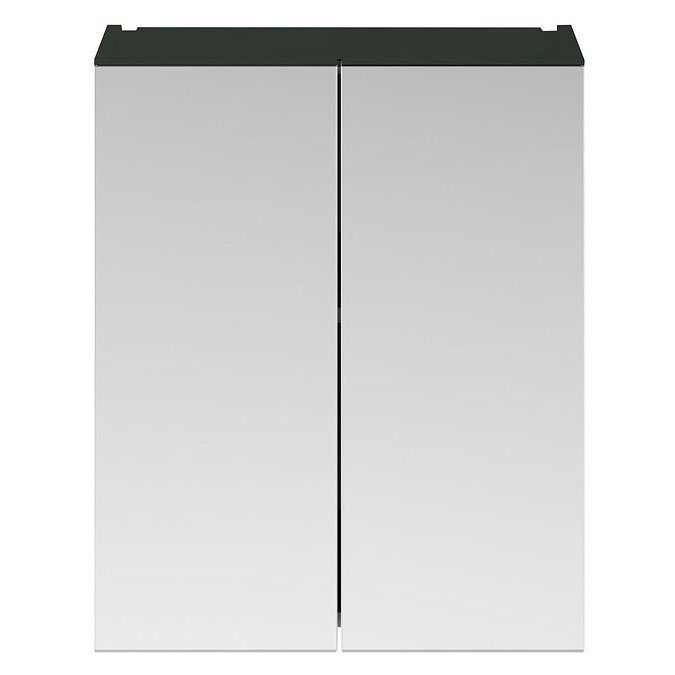 Arezzo 600 Matt Dark Green 2-Door Mirror Cabinet