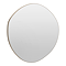 Arezzo 600 x 580mm Organic Mirror - Brushed Bronze