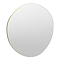 Arezzo 800 x 773mm Organic Mirror - Brushed Brass