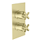 Arezzo Art Deco Crosshead Brushed Brass Shower with Concealed Valve, Wall Mounted 195mm Head + Handset