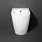 Arezzo Back To Wall 1TH Bidet Standard Large Image