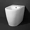 Arezzo Back To Wall 1TH Bidet In Bathroom Large Image
