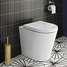 Arezzo Back to Wall Toilet (incl. Seat with Brushed Brass Hinges)