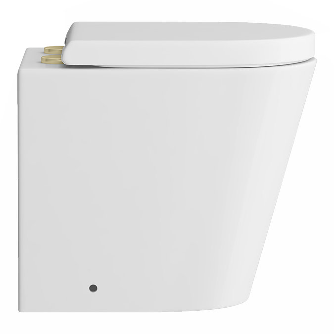 Arezzo Back to Wall Toilet (incl. Seat with Brushed Brass Hinges)