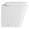 Arezzo Back to Wall Toilet (incl. Seat with Brushed Brass Hinges)