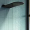 Arezzo Black Round Flat Fixed Shower Head (200 x 480mm) Large Image