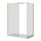 Arezzo Brushed Brass 10mm Glass 1400 x 800 Wet Room (inc. Screen, Side Panel + Tray)