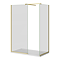 Arezzo Brushed Brass 10mm Glass 1400 x 900 Wet Room (with Screen, Side Panel + Tray)