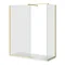 Arezzo Brushed Brass 10mm Glass 1700 x 700 Wet Room (inc. Screen, Side Panel + Tray)