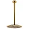 Arezzo Brushed Brass 195mm Thin Round Shower Head + 300mm Ceiling Mounted Arm  Profile Large Image