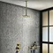 Arezzo Brushed Brass 195mm Thin Round Shower Head + 300mm Ceiling Mounted Arm  Feature Large Image