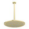 Arezzo Brushed Brass 300mm Thin Round Shower Head + 300mm Ceiling Mounted Arm  Profile Large Image