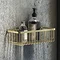 Arezzo Brushed Brass 300mm Wire Shower Basket Large Image