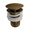 Arezzo Brushed Brass 380 x 560mm Oval Stainless Steel Counter Top Basin + Waste Feature Large Image