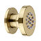 Arezzo Brushed Brass Body Jet - 1 x Slim Round Jet