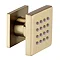 Arezzo Brushed Brass Body Jet - 1 x Slim Square Jet  Standard Large Image