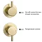 Arezzo Brushed Brass Concealed Individual Diverter + Thermostatic Control Shower Valve  additional L