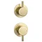 Arezzo Brushed Brass Concealed Individual Diverter + Thermostatic Control Valve with Handset + Ceiling Mounted Shower Head Profile Large Image
