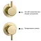 Arezzo Brushed Brass Concealed Individual Diverter + Thermostatic Control Valve with Handset + Ceiling Mounted Shower Head  In Bathroom Large Image