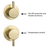 Arezzo Brushed Brass Concealed Individual Stop Tap + Thermostatic Control Valve with Ceiling Mounted Shower Head  In Bathroom Large Image