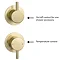 Arezzo Brushed Brass Concealed Individual Stop Tap + Thermostatic Control Valve with Ceiling Mounted Shower Head In Bathroom Large Image