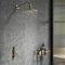 Arezzo Brushed Brass Concealed Individual Stop Tap + Thermostatic Control Valve with Wall Mounted Shower Head  In Bathroom Large Image