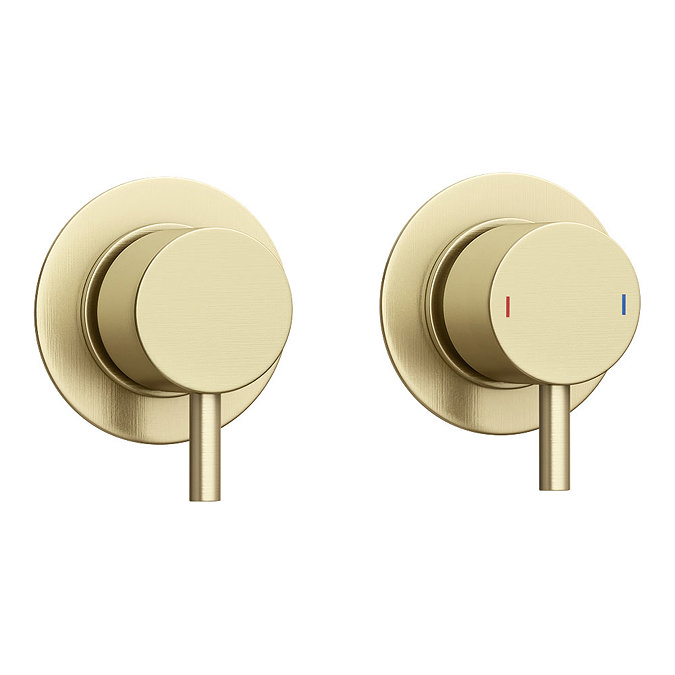 Arezzo Brushed Brass Concealed Individual Stop Tap + Thermostatic Control Valve with Wall Mounted Shower Head  Profile Large Image