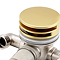 Arezzo Brushed Brass Deck Bath Side Valves with Freeflow Bath Filler