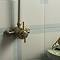 Arezzo Brushed Brass Dual Exposed Thermostatic Shower Valve with Rigid Riser Kit