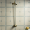 Arezzo Brushed Brass Dual Exposed Thermostatic Shower Valve with Rigid Riser Kit