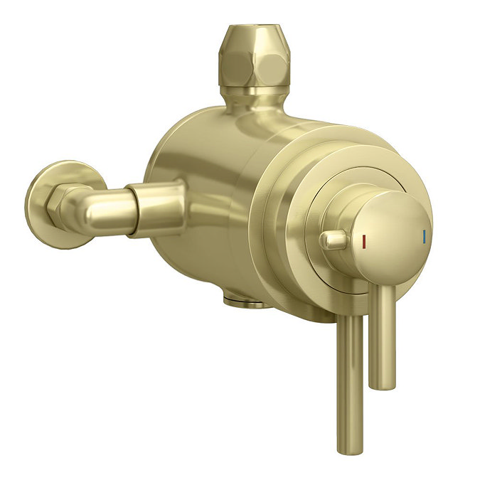 Arezzo Brushed Brass Dual Exposed Valve with Rigid Riser Kit, 195mm Shower Head, Handshower & Diverter