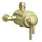 Arezzo Brushed Brass Dual Exposed Valve with Rigid Riser Kit, 195mm Shower Head, Handshower & Diverter